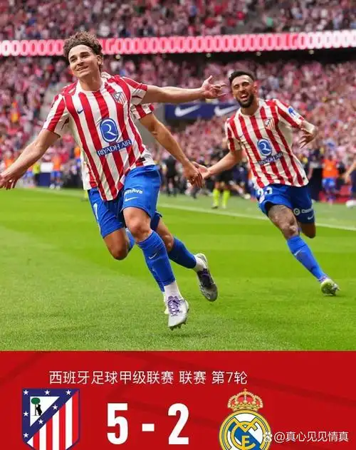 雨燕直播360高清直播